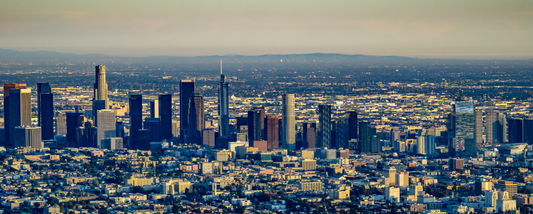 Los Angeles Magic Mushroom delivery Shrooms near me