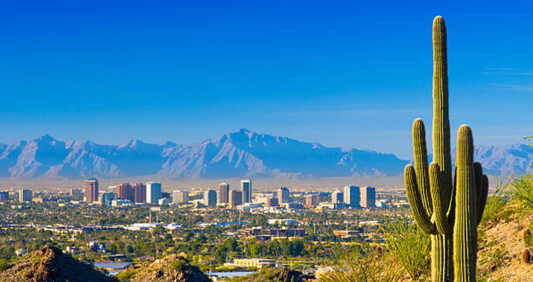 Phoenix Arizona Magic Mushroom delivery shrooms near me