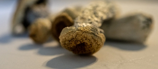 Discover the Convenience of Getting Magic Mushrooms Delivered in Las Vegas